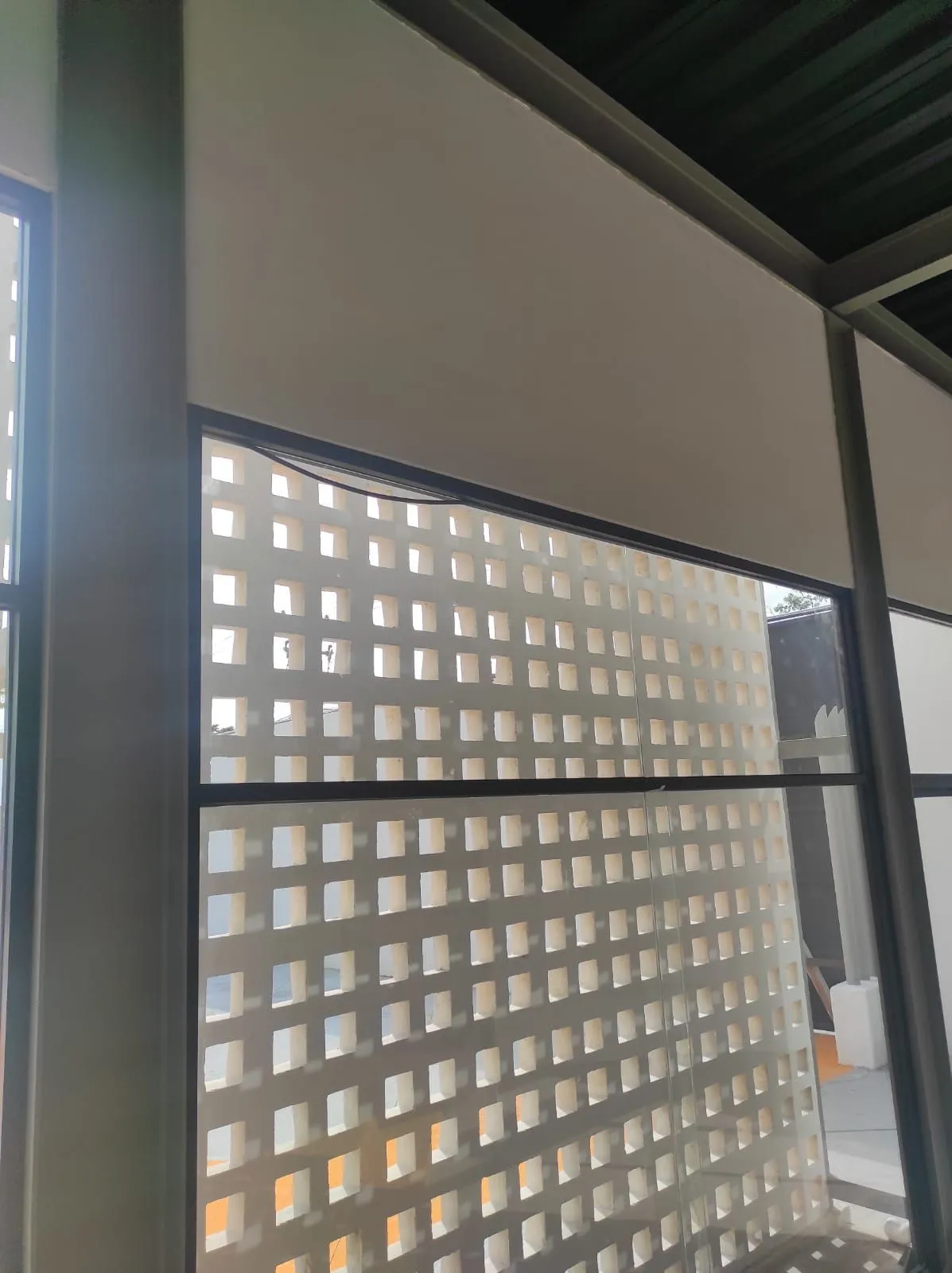 Dirección de Tránsito en Cancún - Imagen 3