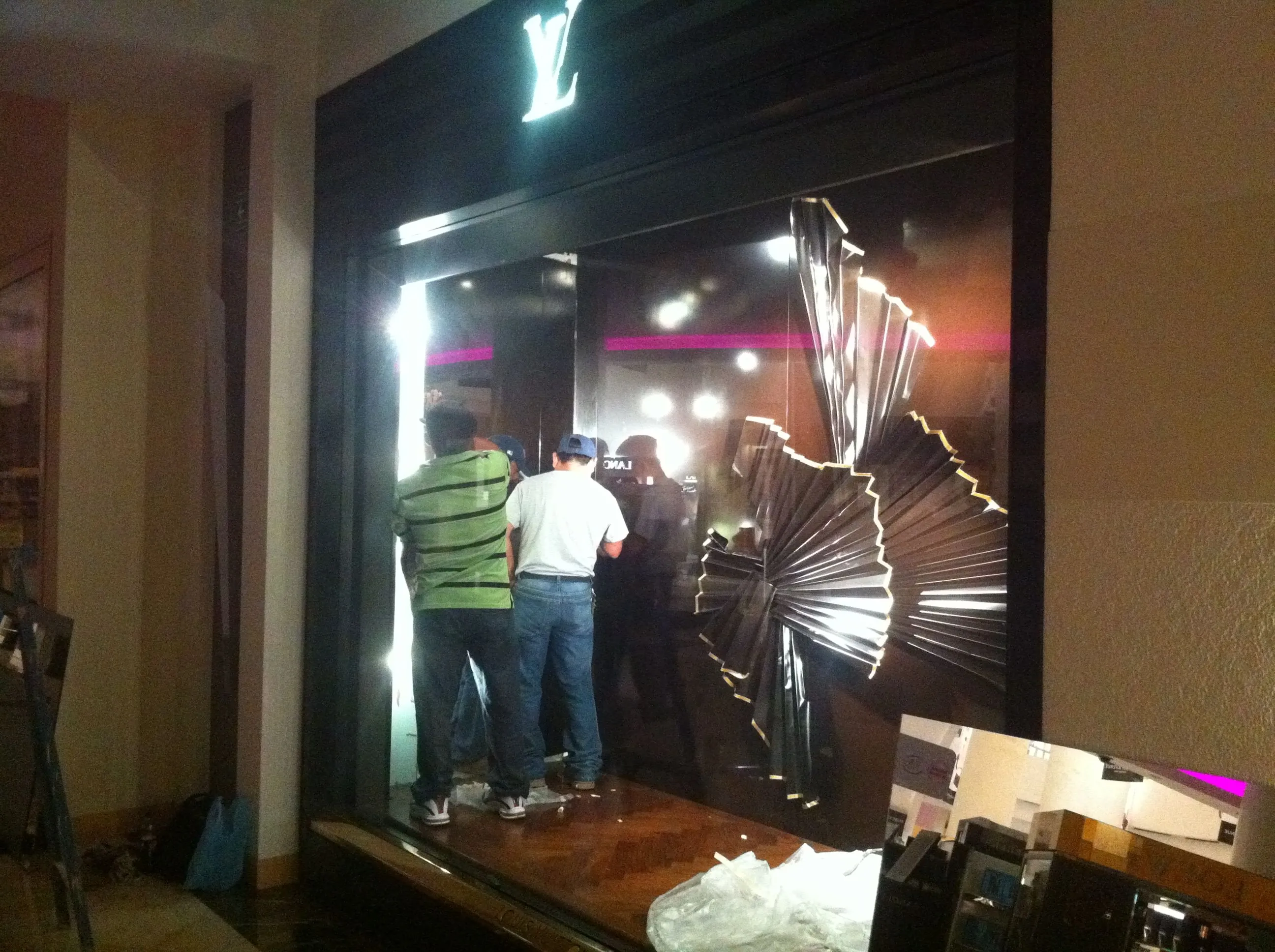 Proyecto Louis Vuitton