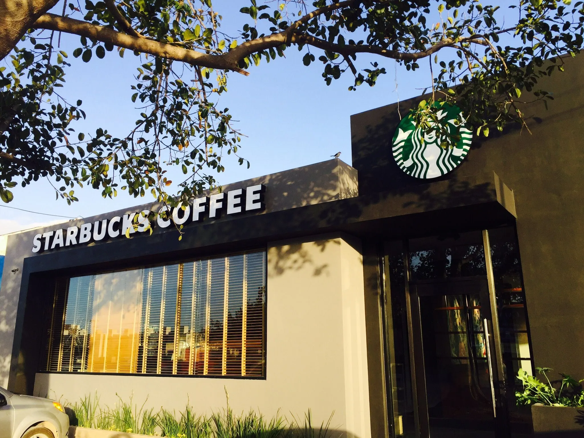Starbucks en varias ubicaciones: Cozumel, Cumbres, Villamarino y Terminal 3 Cancún - Imagen 1
